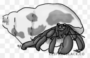 Hermit Crabs Png Gif - Portable Network Graphics,Crabs Png