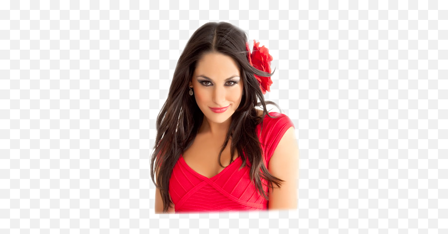 Wwe Brie Bella - Photo Shoot Png,Brie Bella Png