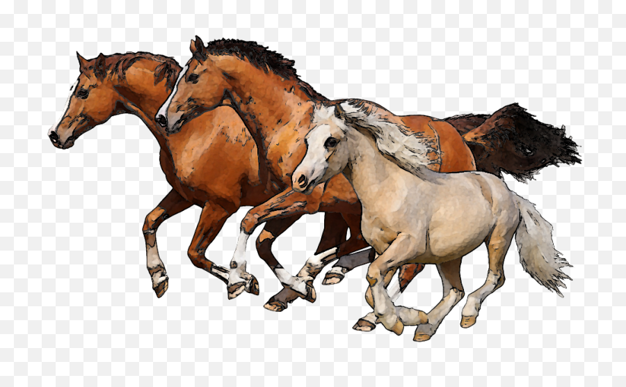 Running Horses Png Transparent Clipart Image 7 - Free Horses Clipart,Running Transparent