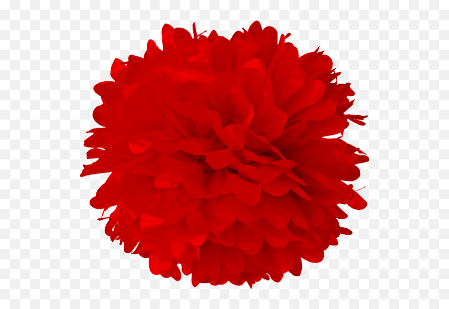 Download Free Png Red Tissue Pom Poms - Red Pom Pom Clipart,Pom Pom Png