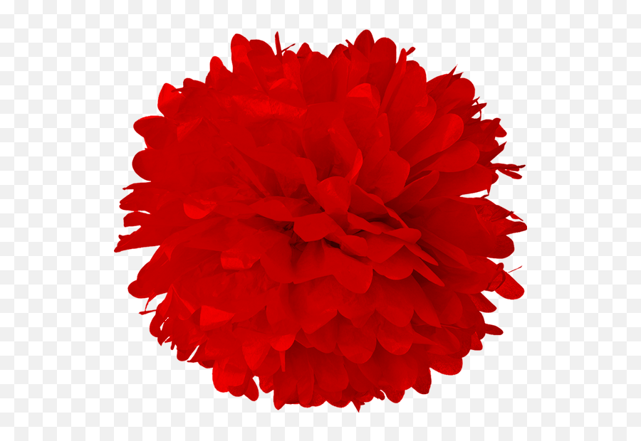 Download Free Png Red Tissue Pom Poms Red Pom Pom Clipart Pom Pom Png 