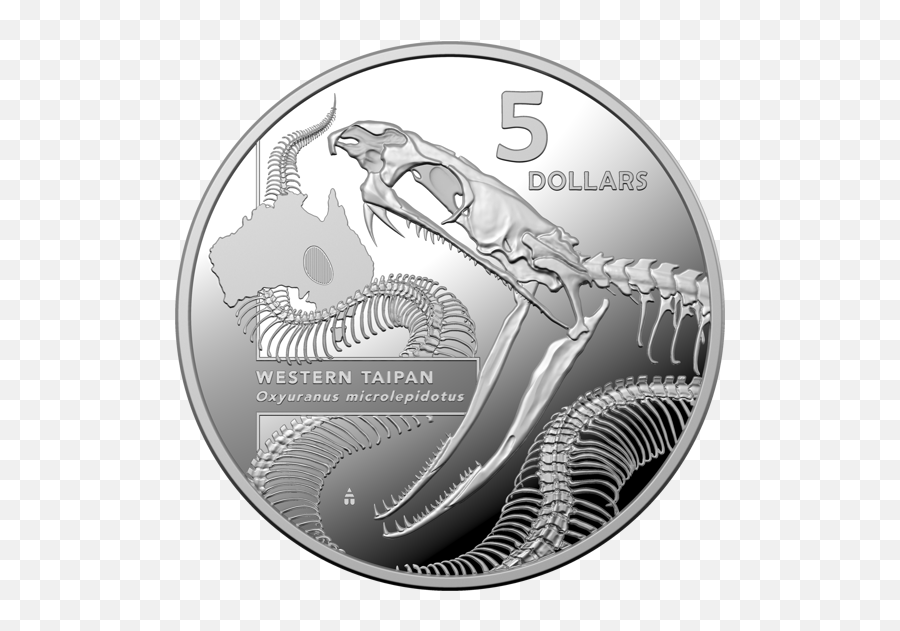 2020 Ag 40mm Australian Animal Skeleton - Inside Most Dangerous Silver Coin Png,Png Taipan