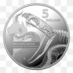 2020 Ag 40mm Australian Animal Skeleton - Inside Most Dangerous Silver Coin Png,Png Taipan