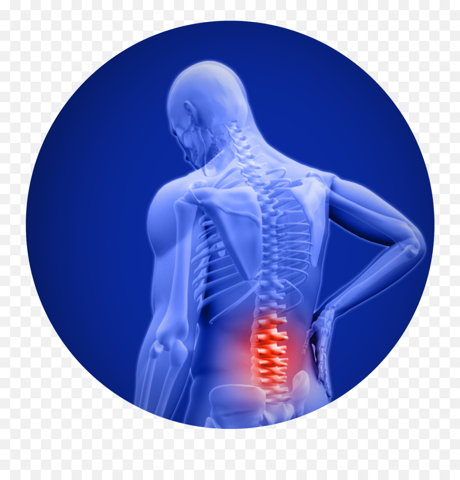Lower Back Pain Png Pic Arts - Can Spinal Cord Be Repaired,Pain Png