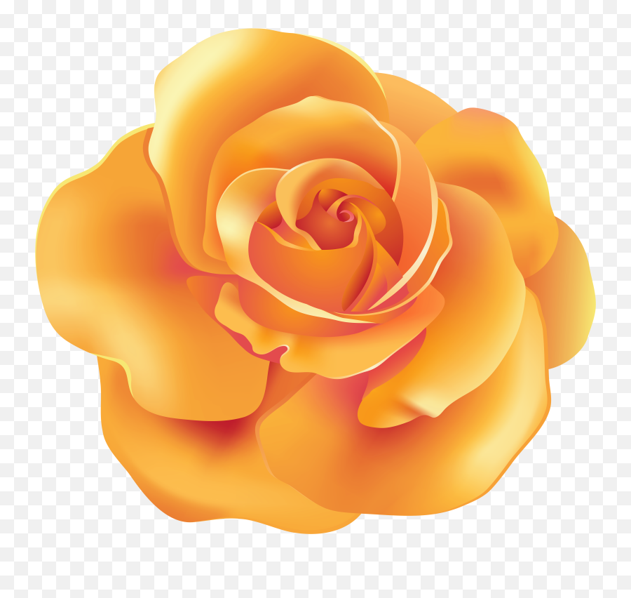 Pin By Hope Lukenbill - Rose,Rose Drawing Png