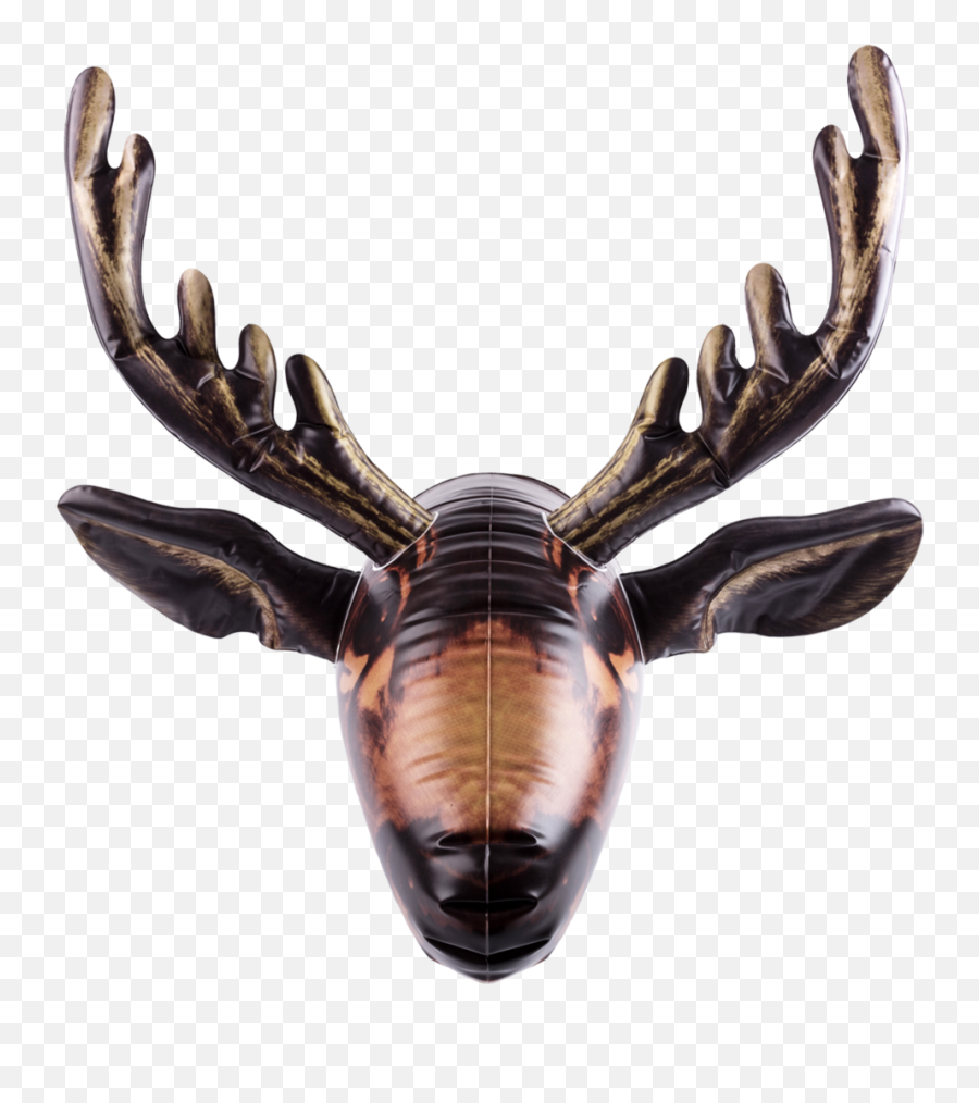 Download Hd Inflatable Moose Head Facing Front - Moose Deer Png,Moose Transparent