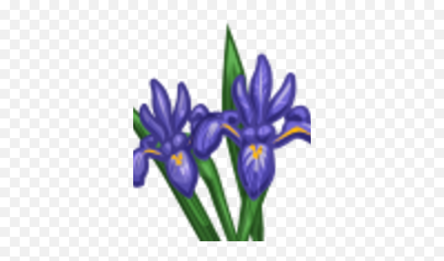 Iris Farmville Wiki Fandom - Northern Blue Flag Png,Iris Flower Png