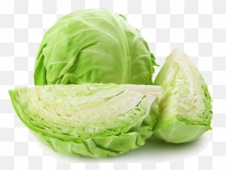 Cabbage Transparent Background Png Arts - Png