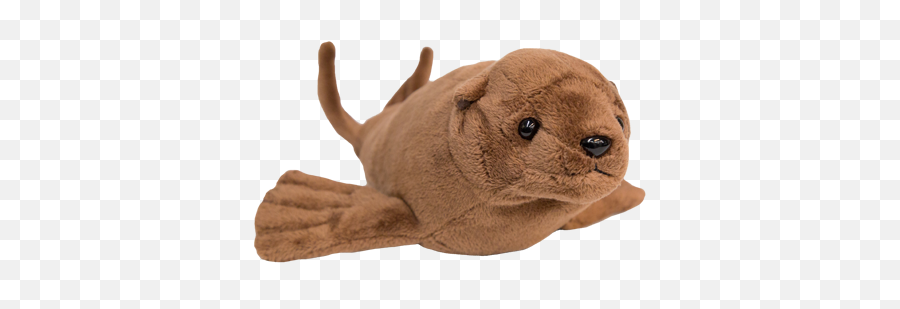 Ocaq - Adoptionanimals105sealionplushadopt Oregon Stuffed Animal Aquarium Transparent Png,Sea Lion Png