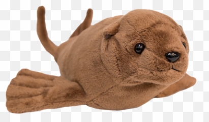 Ocaq - Adoptionanimals105sealionplushadopt Oregon Stuffed Animal Aquarium Transparent Png,Sea Lion Png