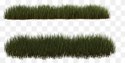 Download Hd Dry Grass Clipart Desert Plant - Png Clump Plants Transparent