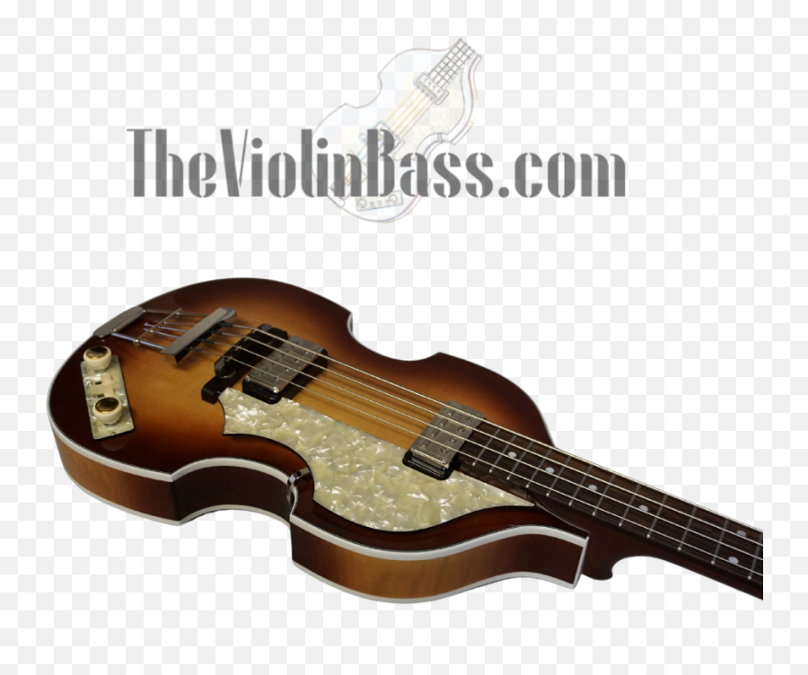 The Violin Bass Store - Höfner Png,Hofner Icon Beatle Bass