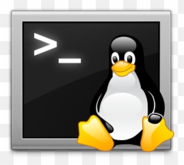 Vps Vds Virtual Private Server Hosting - Tux Terminal png