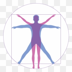 Why Qball Extreme Reaction Ball - Mens Sana In Corpore Sano Symbol png