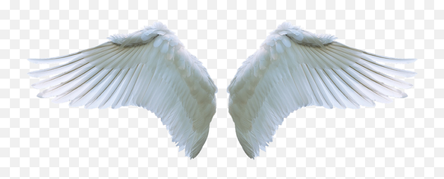 Angel Wings Png Clipart - Angel Wings Png,Angel Wings Png