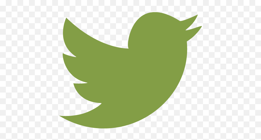Fable - Transparent Twitter Icon Vector Png,Fable Icon