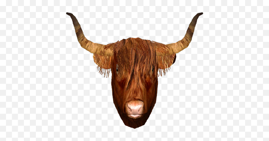 Sheson Github - Ox Png,Longhorns Icon