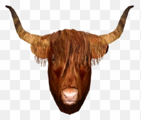 Sheson Github - Ox png