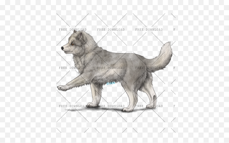 Arctic Fox Png Image With Transparent - Slovak Cuvac,Fox Png