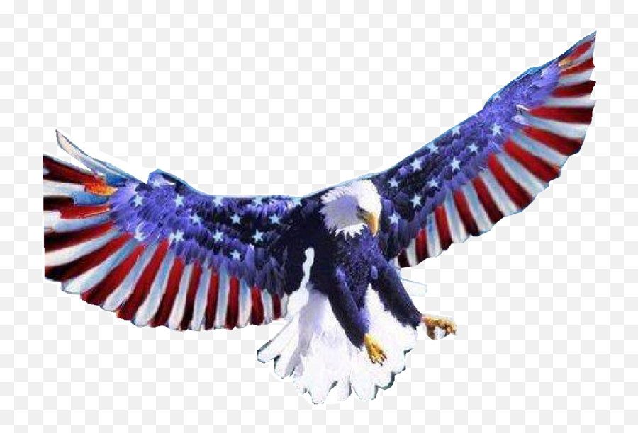 American Flag Bald Eagle - Red White And Blue Eagles Png,Bald Eagle Transparent