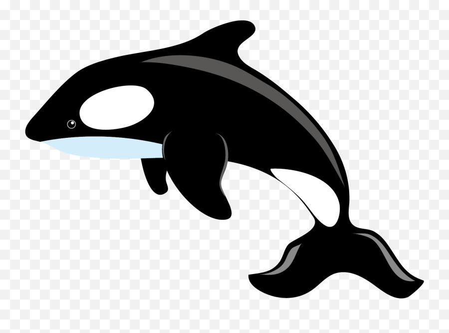 Killer Whale Blue Clip Art - Killer Whale Clipart Png,Humpback Whale Png