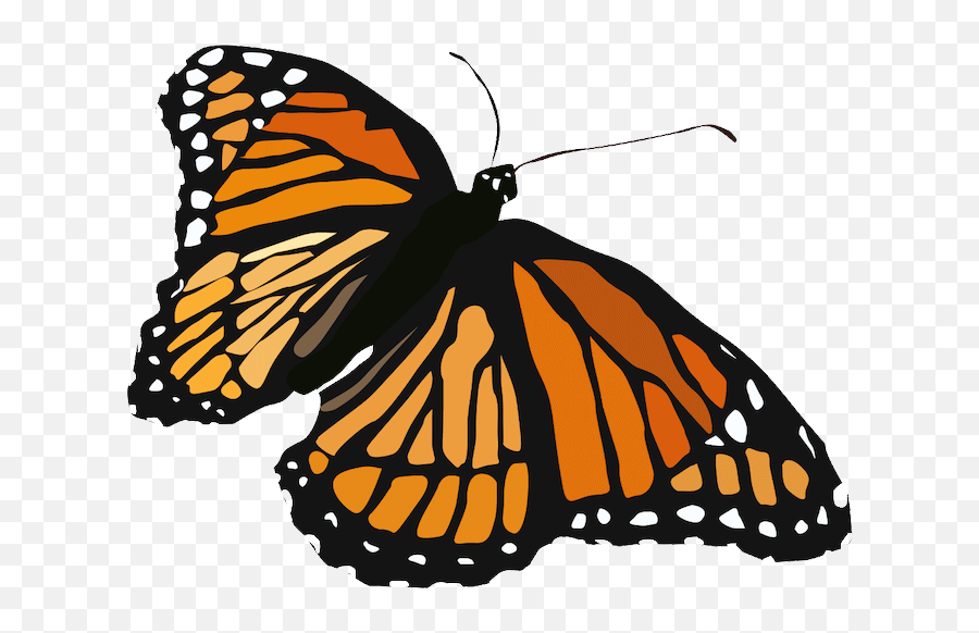 Animation Helen Kemper - Monarch Butterfly Png,Monarch Butterfly Png