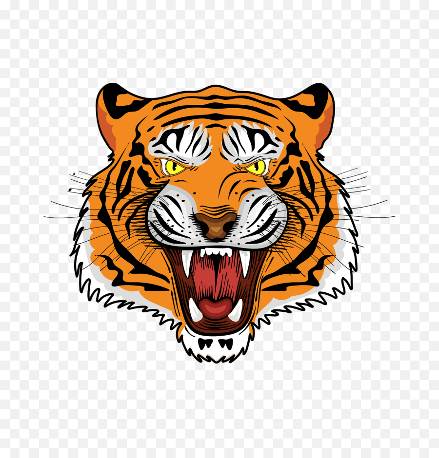 Tiger logo, simple and colorful illustration, transparent background, AI  generated 22588693 PNG