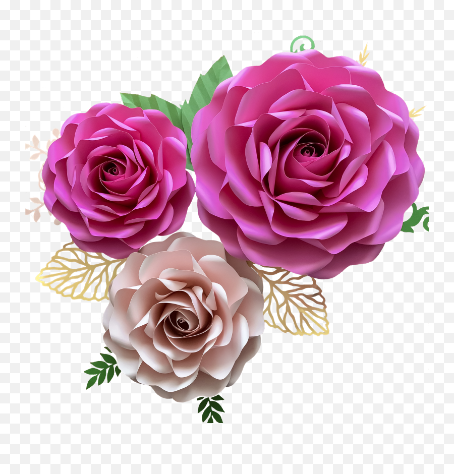 Pin - Garden Roses Png,Flower Petals Png