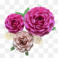 Pin - Garden Roses Png,Flower Petals Png