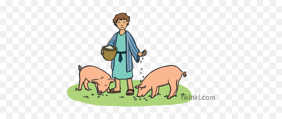 Prodigal Son Feeding Pigs Illustration - Twinkl Pigs Prodigal Son Drawing Png,Pigs Png