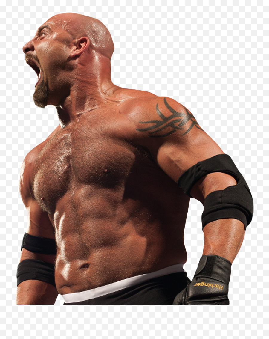 Goldberg - Render Goldberg Png,Goldberg Png