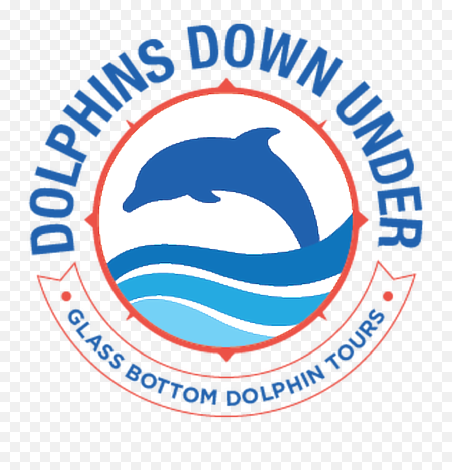 Dolphins Down Under Glass Bottom Boat Tours Orange Beach Al - Emblem Png,Dolphin Transparent