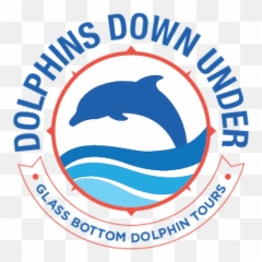 Dolphins Down Under Glass Bottom Boat Tours Orange Beach Al - Emblem Png,Dolphin Transparent