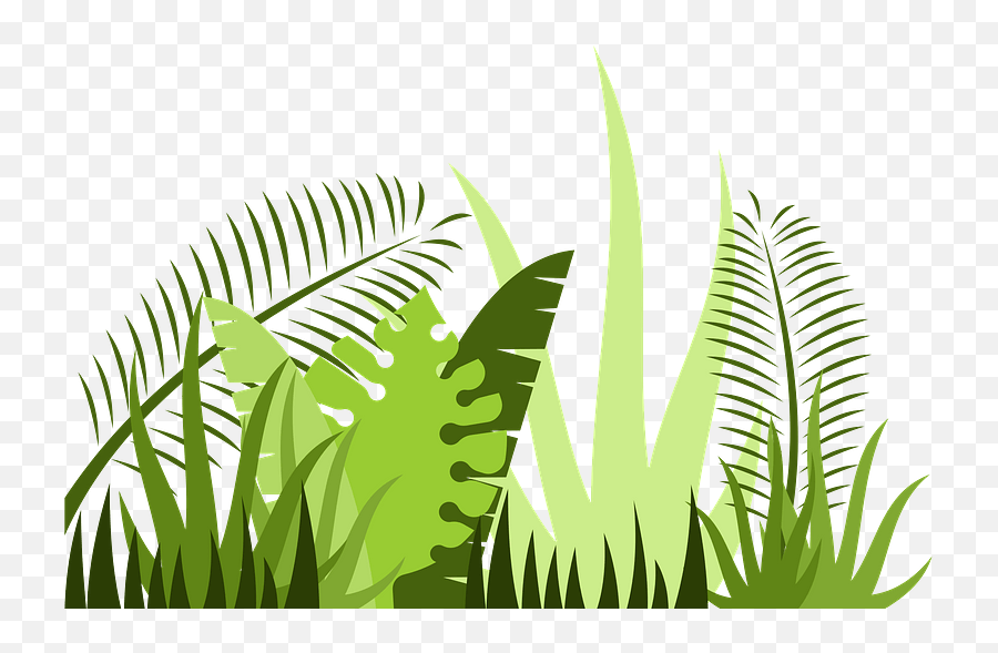 Jungle Leaves Clipart Free Download Transparent Png - Clip Art Jungle Leaves,Leaf Clipart Transparent