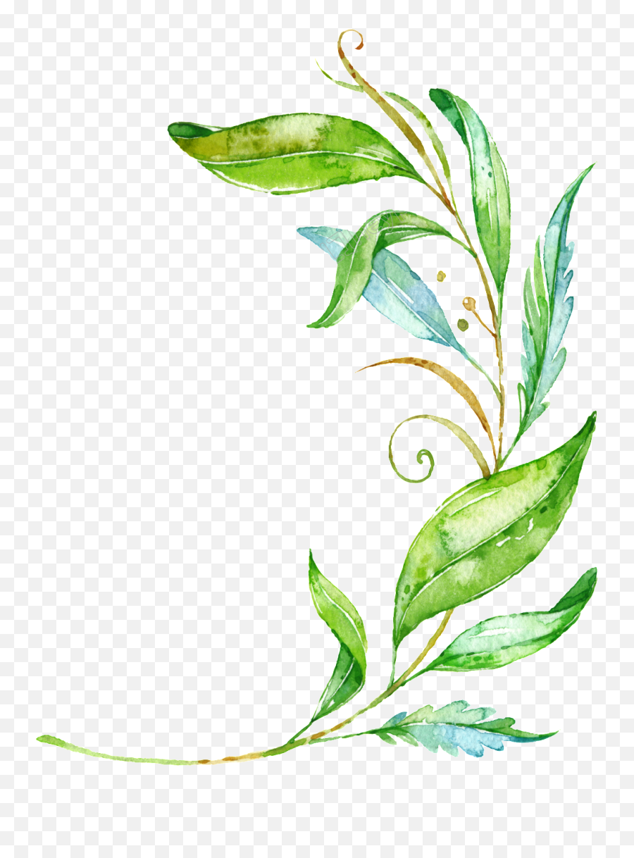 Transparent - Vector Png Leaves Background,Plant Vector Png