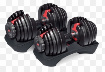 Hantel Png - Bowflex Dumbbells