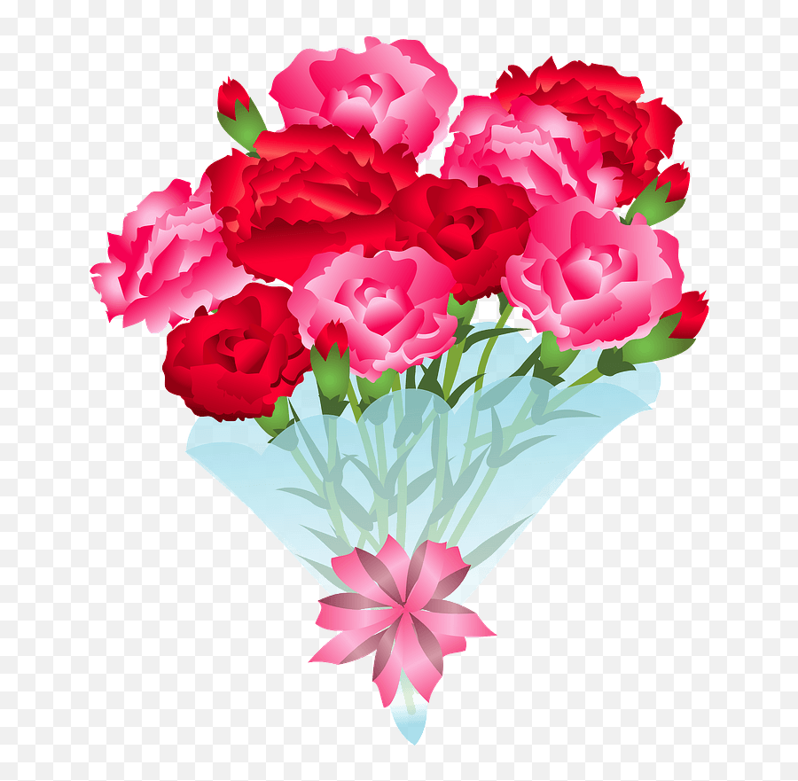 Carnation Mothers Day Clipart Free Download Transparent Png