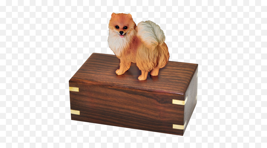 Wholesale Pomeranian Red - Dog Supply Png,Pomeranian Png