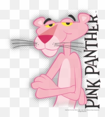 Pink Panther Cool Cat Kidu0027s T - Shirt Ages 47 Animated Cartoon Png,Cool Cat Png