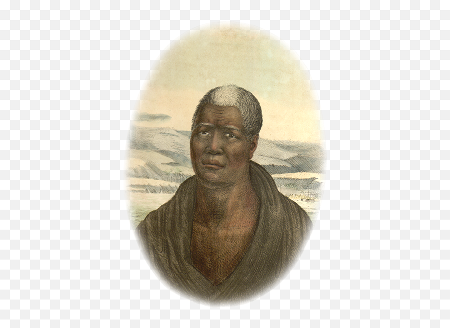 Department Of Accounting And General Services Archives - No Expression Png,Kamehameha Png