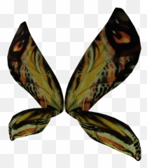 Mothra Wings - Mothra Wings Roblox Png,Mothra Png