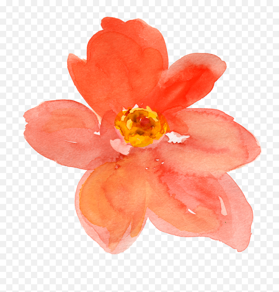 Watercolor Picture Freeuse Library Png - Png Watercolor Flowers Yellow,Watercolor Clipart Png