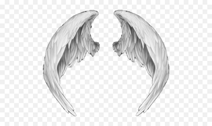 Ali Angelo Png 4 Image - White Anime Angel Wings,Ali A Png