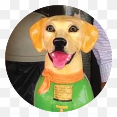 Paws - Dog Supply Png,Alpha Icon Dog Clothes