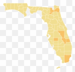 Florida Coronavirus Map And Case Count - The New York Times Vertical png
