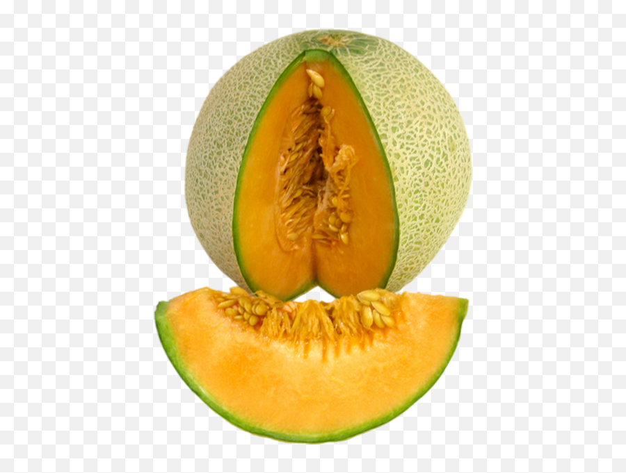 Small Cantaloupe Calories Png Image - Melon,Cantaloupe Png