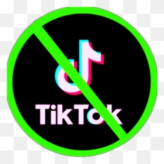 I Am Seriously Ready To Get Rid Of Tiktok Rantitiktokunion - Tiktok App png