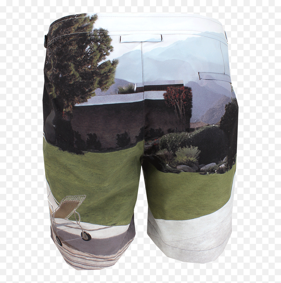 Menu0027s Bulldog Hulton Getty Swim Short - Boardshorts Png,Trousers Shorts Icon