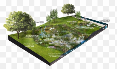 Fileschematicpng - Minnesota Stormwater Manual,Pond Png