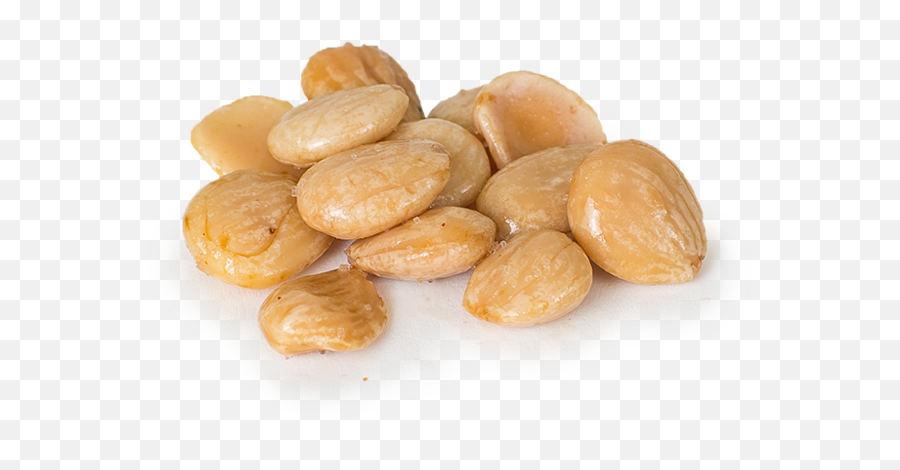 Marcona Almonds - Almond Png,Almonds Png